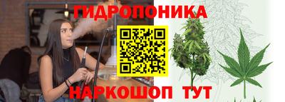 кокаин Гатчина